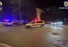 VIDEO: Au cultivat cannabis în ghivece! Cercetați pentru trafic de droguri de risc