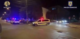 VIDEO: Au cultivat cannabis în ghivece! Cercetați pentru trafic de droguri de risc
