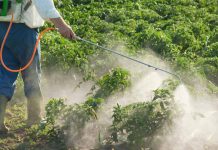 Agricultura pe înțelesul tuturor – Păstrarea și folosirea corectă a pesticidelor