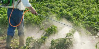 Agricultura pe înțelesul tuturor – Păstrarea și folosirea corectă a pesticidelor