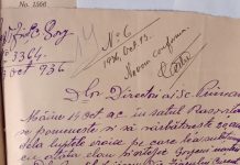 In memoriam – Eroii de la Rasovița (II)