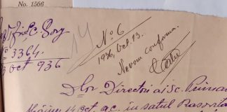 In memoriam – Eroii de la Rasovița (III)