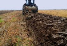 Agricultura pe înțelesul tuturor – Graficul lucrărilor agricole în luna octombrie