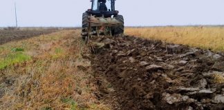 Agricultura pe înțelesul tuturor – Graficul lucrărilor agricole în luna octombrie