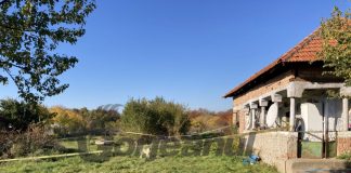 Omorâtă cu toporul și devorată de câinii maidanezi din Dănești!