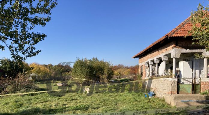 Omorâtă cu toporul și devorată de câinii maidanezi din Dănești!