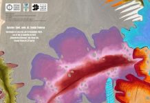 Expoziție de arte vizuale „INSIDE/OUTSIDE“, la Târgu-Jiu