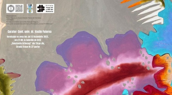 Expoziție de arte vizuale „INSIDE/OUTSIDE“, la Târgu-Jiu