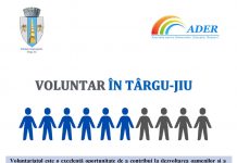 Voluntar în Târgu-Jiu