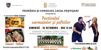 Festivalul sarmalelor și piftiilor. Concurs culinar la Peștișani