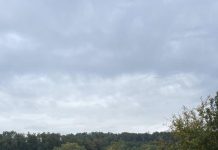 Amendă de 10.000 lei dată la Bălești