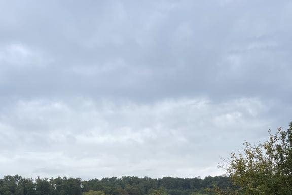 Amendă de 10.000 lei dată la Bălești