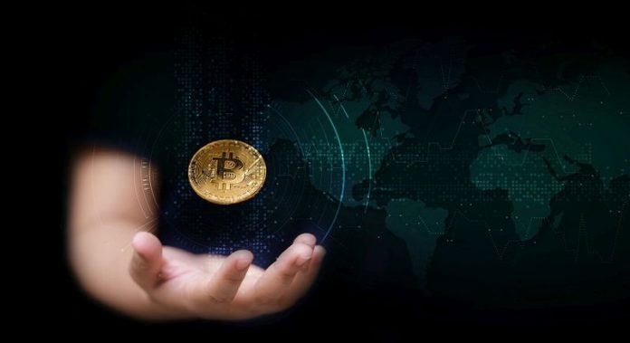 Hand of woman holding Bit coin with HUD network and futuristic