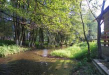 În lumea „Apei Vii”