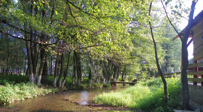 În lumea „Apei Vii”