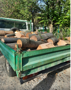 Bărbat din Arcani, cu dosar penal pentru transport ilegal de lemne