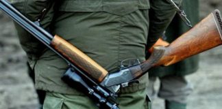 Pădurar condamnat pentru fals