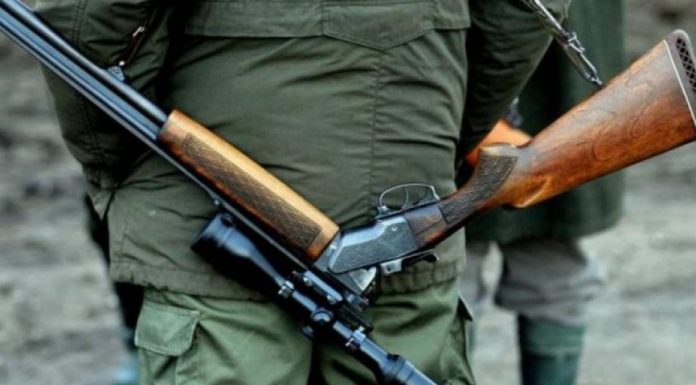 Pădurar condamnat pentru fals