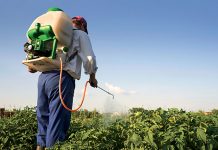 Agricultura pe înțelesul tuturor – Păstrarea și folosirea corectă a pesticidelor