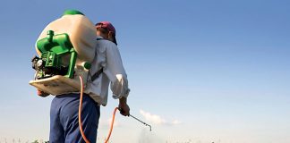 Agricultura pe înțelesul tuturor – Păstrarea și folosirea corectă a pesticidelor