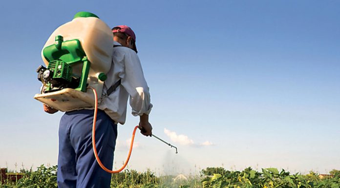 Agricultura pe înțelesul tuturor – Păstrarea și folosirea corectă a pesticidelor