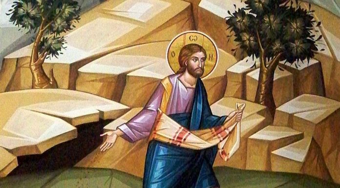 Calea, Lumina, Adevărul şi Viaţa! – Dumnezeu ne va face socoteală despre viaţa de aici, de pe pământ, care a fost fără rod, pentru ca în inima noastră să încolţească şi să dea roade sămânţa cea bună a credinţei!