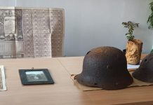 Ziua Armatei, sărbătorită în școli