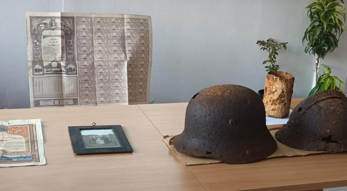 Ziua Armatei, sărbătorită în școli