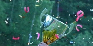 Au fost stabilite optimile cupei județene