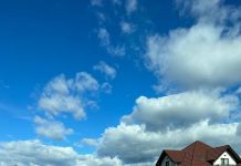 ANI: Evaluarea averii ofițerului Nedelea se află în curs!