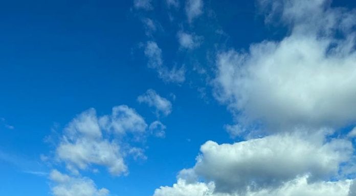 ANI: Evaluarea averii ofițerului Nedelea se află în curs!