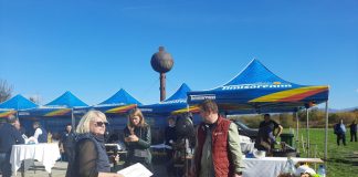 VIDEO: Expoziția de ovine de la Caransebeș, la prima ediție, un exemplu pentru Gorj
