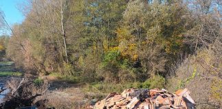Mormane de gunoi, depozitate ilegal pe malul râului Șușiței și în zăvoiul din Bârsești