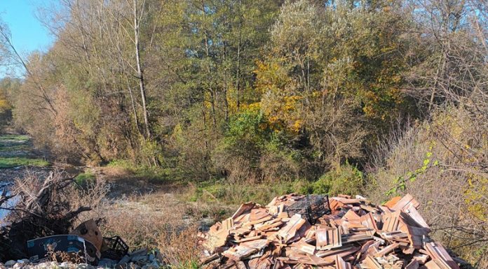 Mormane de gunoi, depozitate ilegal pe malul râului Șușiței și în zăvoiul din Bârsești