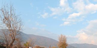 VIDEO: Salariați ai Primăriei Bumbești-Jiu aruncă deșeuri, cu trakerele, într-o groapă improvizată! Gunoaiele, astupate cu buldoexcavatorul instituției