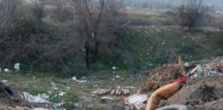 Poliția a deschis dosar penal pentru poluare în cazul incidentului de la Bumbești Jiu! Garda de Mediu și ABA Jiu au amendat usturător primăria lui Bobaru