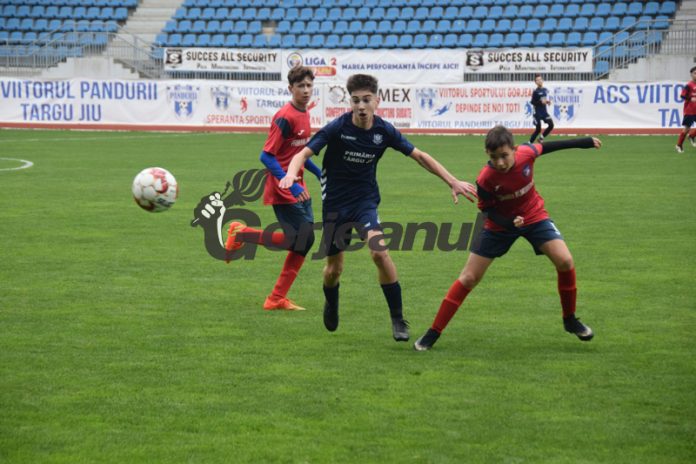 315534817_2131804307026242_4523458589583526514_n