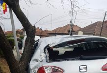 A intrat cu autoturismul în Parcul Coloanei! Șoferul, un tânăr de 18 ani