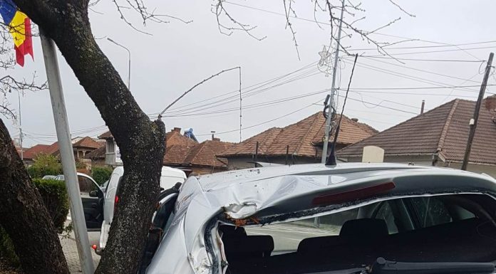 A intrat cu autoturismul în Parcul Coloanei! Șoferul, un tânăr de 18 ani
