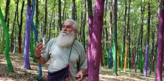 Mihai Țopescu – expoziție în capitală în perioada sărbătorilor de iarnă!