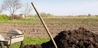Agricultura pe înțelesul tuturor – Gunoiul de grajd – o comoară a fermierilor