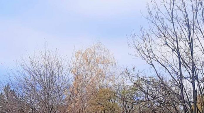 Accident la Parcul Coloanei! A intrat cu autoturismul pe zona verde