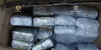 Condamnat după ce a fost prins ducând droguri de la Târgu-Jiu în Norvegia