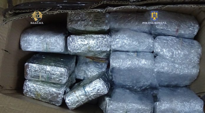 Condamnat după ce a fost prins ducând droguri de la Târgu-Jiu în Norvegia