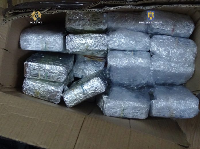 WhatsApp-Image-2022-06-06-at-16.20