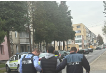 Cătunele: Arestat pentru 30 de zile, pentru mai multe infracțiuni