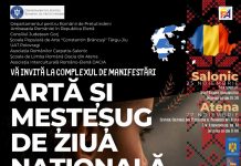 Târgu-Jiu: Artă și Meșteșug de Ziua Națională a României