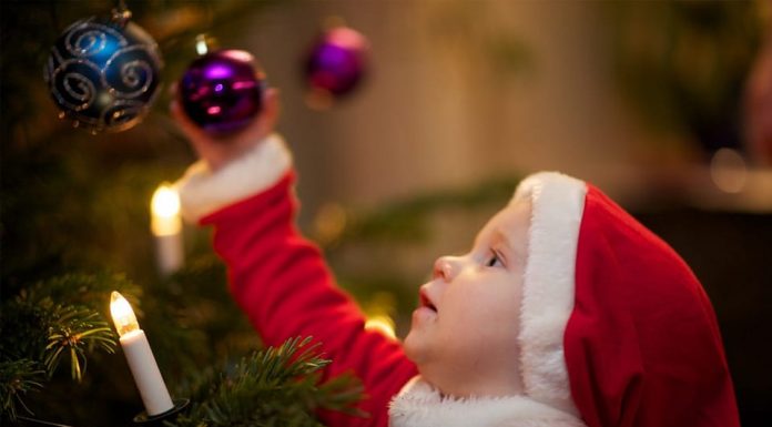 Târgu-Jiu: Invitați să împodobească bradul din centrul orașului