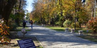 Bătaie de joc! Ministerul Culturii a alocat, ,,în regim de urgență”, 2.000 de lei, pentru restaurarea vechiului pod de peste Jiu, abandonat în bălării, și pentru Ansamblul Monumental ,,Calea Eroilor”!