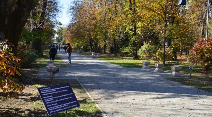 Bătaie de joc! Ministerul Culturii a alocat, ,,în regim de urgență”, 2.000 de lei, pentru restaurarea vechiului pod de peste Jiu, abandonat în bălării, și pentru Ansamblul Monumental ,,Calea Eroilor”!